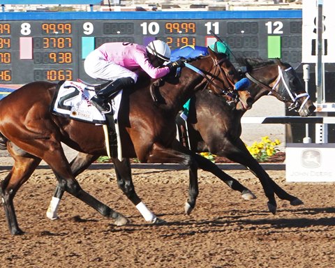 Sunland Park sets Handle Record on Sunland Derby Day