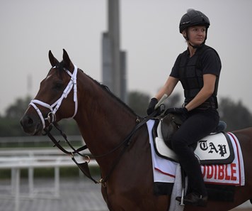 Audible - Horse Profile - BloodHorse