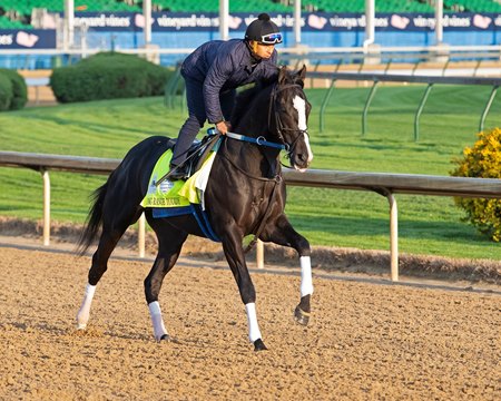 Long Range Toddy 'All Systems Go' for Kentucky Derby - BloodHorse