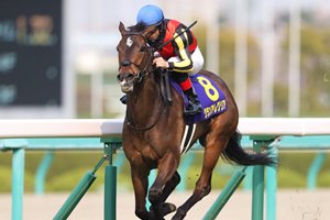 Gran Alegria wins the Oka Sho in stakes-record time at Hanshin Racecourse