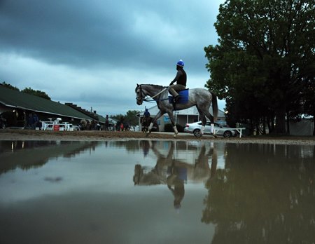 The Churchill Downs backstretch