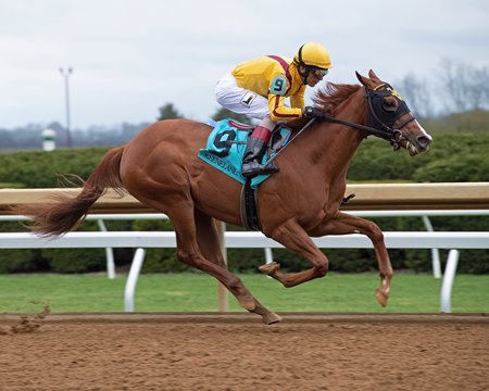 Lady Pauline Impresses in Debut Win at Keeneland - BloodHorse