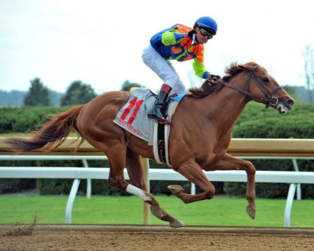 Siring his first winner June 1 at Evangeline Downs was Bobby's Wicked One, pictured winning the 2019 Commonwealth Stakes at Keeneland
