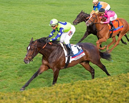 Rushing Fall Better Than Ever in Jenny Wiley Stakes BloodHorse