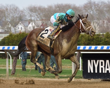 Another Broad wins the Top Flight Invitational Stakes at Aqueduct Racetrack