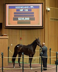 The Competitive Edge filly consigned as Hip 129 in the ring at the Keeneland April Sale