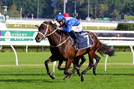 Winx wins her final start, the 2019 Queen Elizabeth Stakes at Randwick