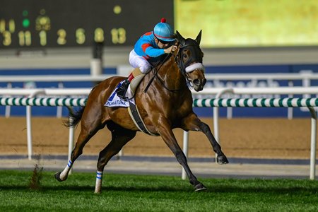 Almond Eye captures the 2019 Dubai Turf at Meydan Racecourse