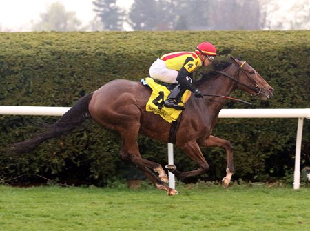 The Mackem Bullet wins the 2019 Appalachian Stakes at Keeneland