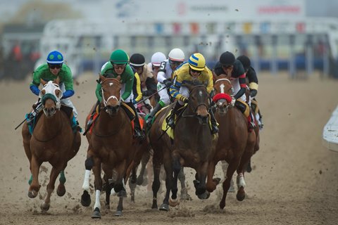 woodbine delaware park cancel racing sept 23 bloodhorse