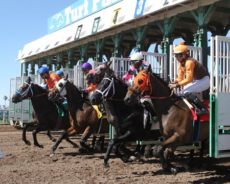 Horses break from the gate at Turf Paradise