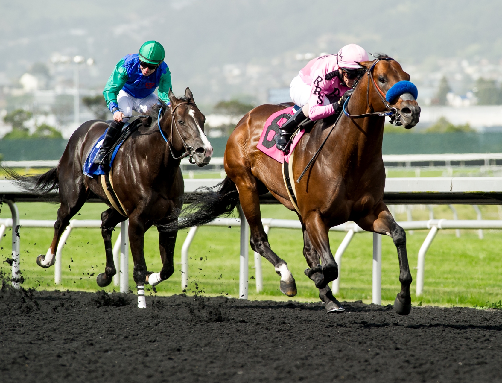 Hawthorne to Cancel Spring 2020 Meet to Build Casino - BloodHorse