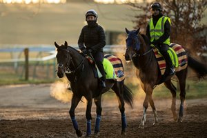 Too Darn Hot and exercise rider Maisie Hainey return from a work in February