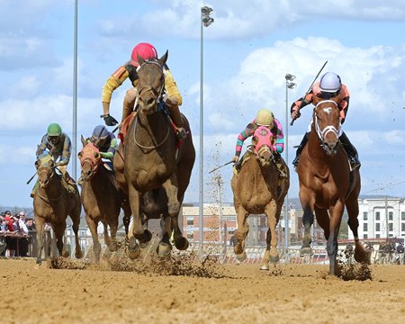 Races Races