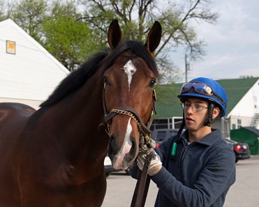 Dreaming of Anna - Horse Profile - BloodHorse