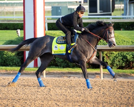 Roadster Drives Speedway Stable to Kentucky Derby - BloodHorse