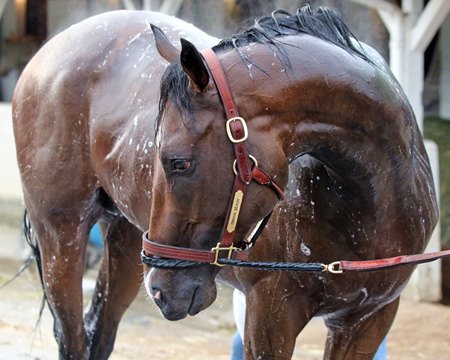 Omaha Beach Fends Off Improbable In Arkansas Derby Bloodhorse