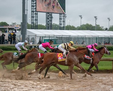 Country House - Horse Profile - BloodHorse