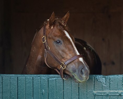 Kentucky Derby Runner Master Fencer Sires First Winner