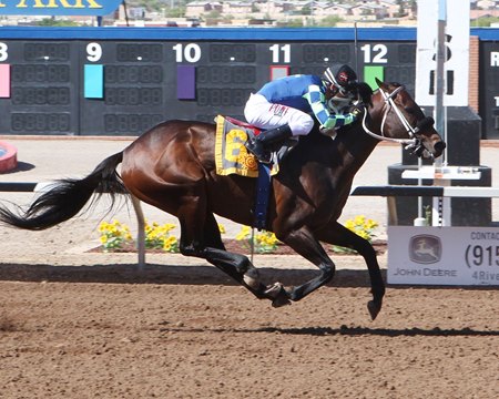 Runaway Ghost wins the 2019 Sunland Park Handicap at Sunland Park