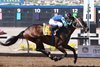 Runaway Ghost wins the 2019 Sunland Park Handicap