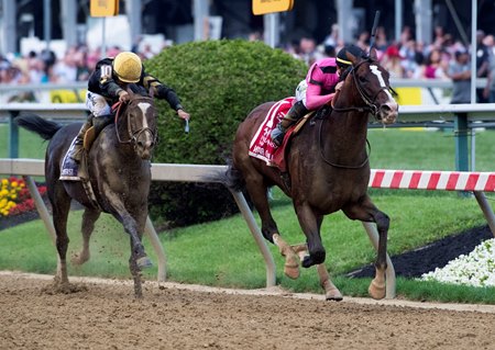 War of Will wins the 2019 Preakness Stakes at Pimlico Race Course