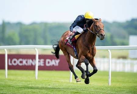 De Beers Diamond Day, Ascot at Newbury