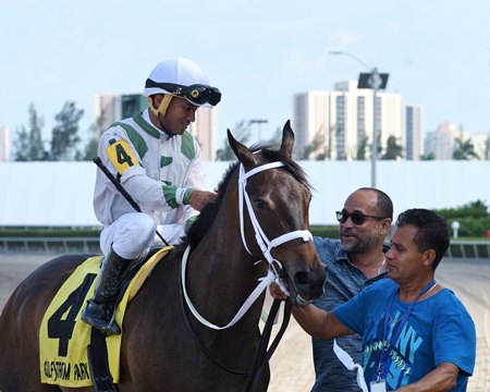 Trenchtown Cat after winning the 2019 Ana T. Stakes at Gulfstream Park