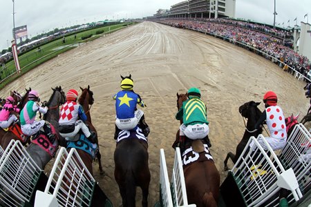 the gate kentucky derby