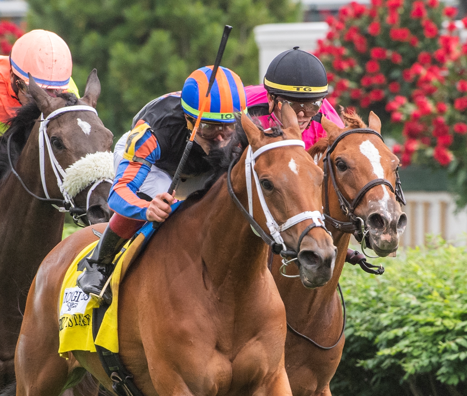 Beau Recall Takes Churchill Distaff Turf Mile BloodHorse