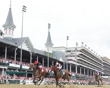 She's A Julie - Horse Profile - Bloodhorse