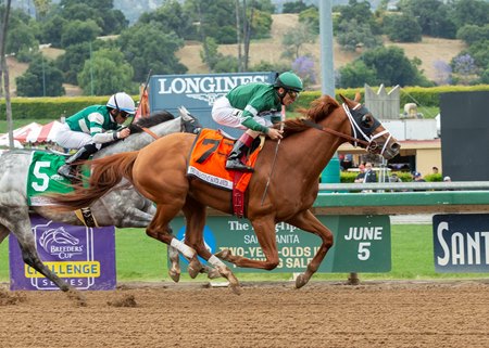 Vino Rosso Closes Late To Score In Gold Cup Bloodhorse