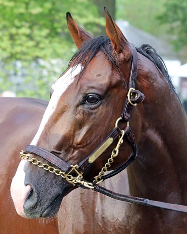 Taylor Made Adds Instagrand to State-Bred Incentive