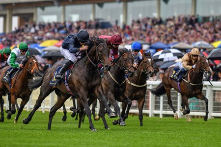 Arizona (blue silks) wins the Coventry Stakes at Ascot Racecourse