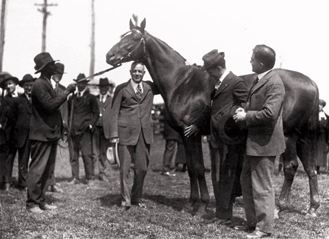 Man o' War's First Crop Gave Him Fast Start at Stud - BloodHorse