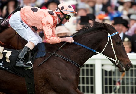 Black Caviar wins the 2012 Diamond Jubilee Stakes at Ascot Racecourse