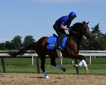 Thunder Snow (IRE) - Horse Profile - BloodHorse