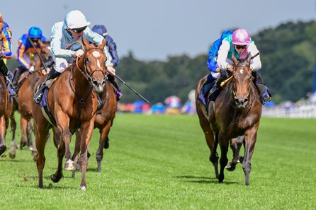 Watch Me (FR) - Horse Profile - BloodHorse