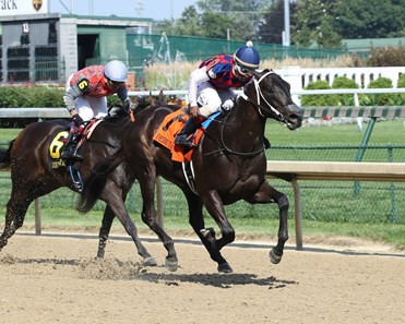 Magic Dance - Horse Profile - BloodHorse