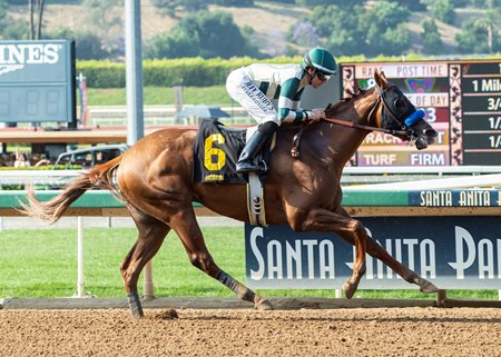 Mucho Gusto wins the Affirmed Stakes at Santa Anita Park