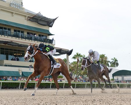 Racing at Gulfstream Park