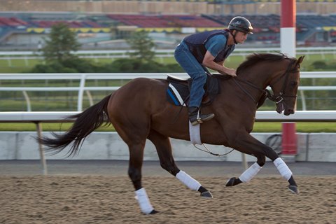 Queen S Plate Card At Woodbine Tops Saturday Racing Bloodhorse