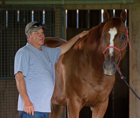 Charlie LoPresti with Wise Dan at Forest Lane Farm 