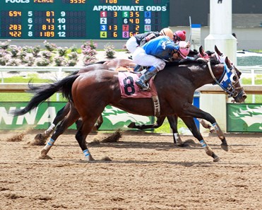 Primed for Talent - Horse Profile - BloodHorse