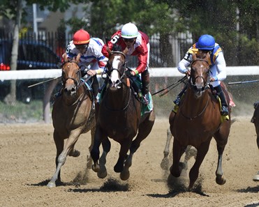 Constitution - Horse Profile - BloodHorse