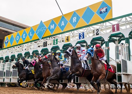 Horses break from the gate at Del Mar