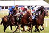 Laurel Park