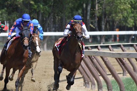 Guarana - Horse Profile - BloodHorse