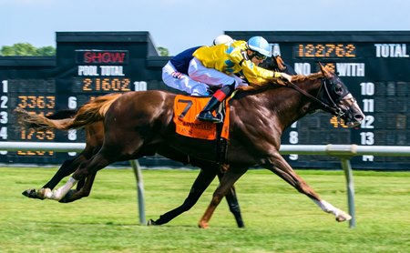 Delaware Park Horse Racing Analysis