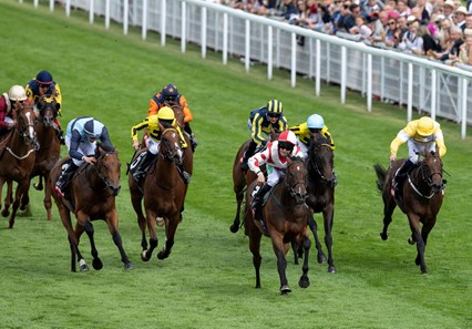 Liberty Beach Gb Horse Profile Bloodhorse